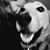 Kathryn Geisen's profile image