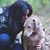 Andrea Michelle's profile image