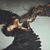 Jeannine Brusseau's profile image