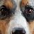 Darlene Robison's profile image