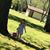 Rilee Sipes's profile image