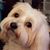 Betty Ann Wilkins's profile image