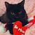Polly Fiorini's profile image
