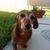 Amy Hess's profile image