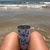 Paula Reed Bush's profile image