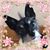 Kat Walker's profile image