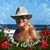 Marty Willett's profile image