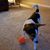Kelly Mikel Jolley's profile image