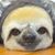 Sue Williams Hobson's profile image