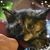 Leslie Mitchell's profile image