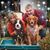 Mary Spagnola Knablein's profile image