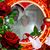 Roy Bell's profile image
