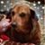 Marty-Vivian York's profile image