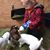 Dawn Goodrick Newton's profile image