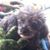Sheryl Baylos's profile image