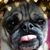 Kathy Manly's profile image