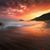 Blanca Rios's profile image