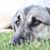 Mandee Blankinship's profile image