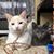 Kitty Matz's profile image