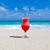 Linda Lee D'Agostino's profile image