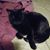 Catherine Daily's profile image