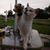 Dorothy L Hill's profile image