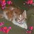 Doris Beers's profile image