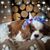 Kathleen Kauffman's profile image