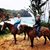 Marci Stallings's profile image