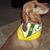 Marsha Lillard's profile image