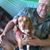 John Porterfield's profile image