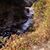 Virginia McGeorge's profile image