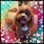 Sherry Boulton's profile image