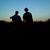 Terri Baird's profile image