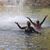 Lesley Mckenzie's profile image