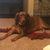 Tracy Smith's profile image