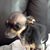 Nina Piunno's profile image