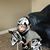 Nate Coppock's profile image
