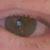 Alvin Johnson's profile image
