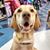 Kelly Dineen's profile image