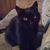 Kim Dawn Crawford's profile image