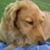Lynda Lozano's profile image