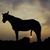 JaIal Staggs's profile image