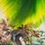 Anne J Massie's profile image