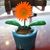 Sally King's profile image