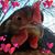 Rebecca Naughton's profile image
