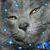 Sophia Lugthart's profile image