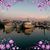 Sheri Snyder's profile image