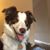 Cheri Coley's profile image