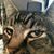 Marla Cox's profile image